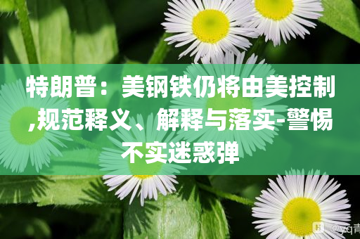 特朗普：美鋼鐵仍將由美控制,規(guī)范釋義、解釋與落實(shí)-警惕不實(shí)迷惑彈