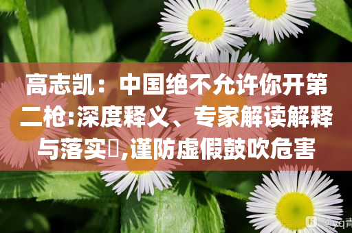 高志凱：中國絕不允許你開第二槍:深度釋義、專家解讀解釋與落實?,謹防虛假鼓吹危害