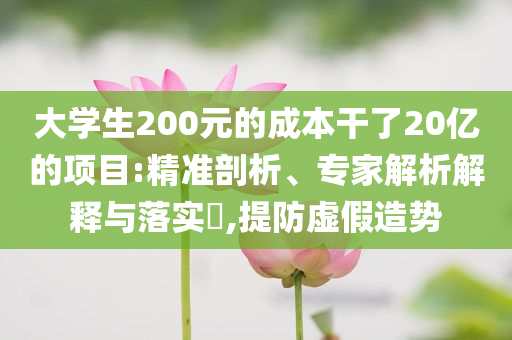 大學(xué)生200元的成本干了20億的項目:精準(zhǔn)剖析、專家解析解釋與落實?,提防虛假造勢