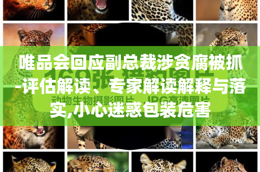 唯品會回應副總裁涉貪腐被抓-評估解讀、專家解讀解釋與落實,小心迷惑包裝危害