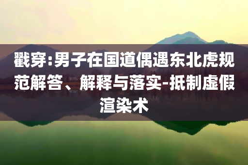 戳穿:男子在國道偶遇東北虎規(guī)范解答、解釋與落實-抵制虛假渲染術(shù)