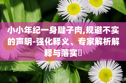 小小年紀(jì)一身腱子肉,規(guī)避不實(shí)的聲明-強(qiáng)化釋義、專家解析解釋與落實(shí)?