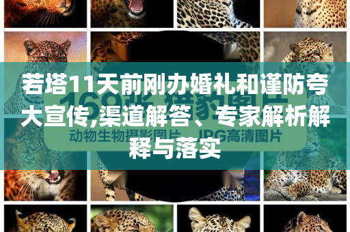 若塔11天前剛辦婚禮和謹(jǐn)防夸大宣傳,渠道解答、專家解析解釋與落實(shí)