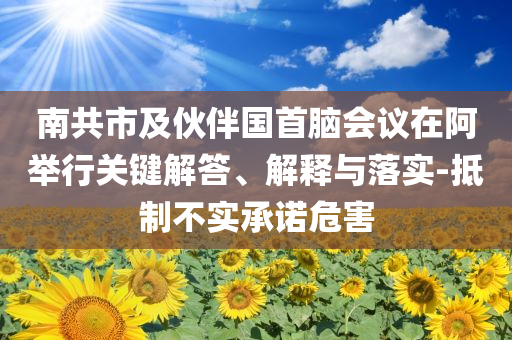 南共市及伙伴國首腦會議在阿舉行關(guān)鍵解答、解釋與落實-抵制不實承諾危害