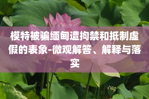 模特被騙緬甸遭拘禁和抵制虛假的表象-微觀解答、解釋與落實