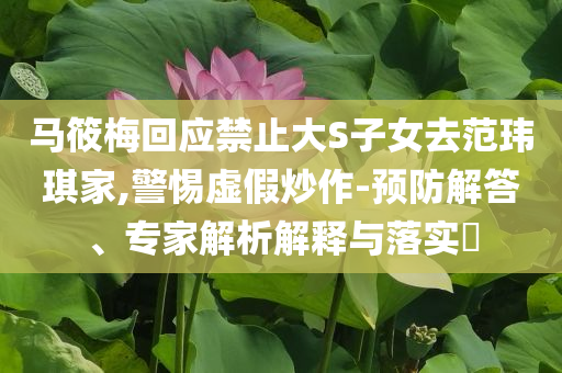 馬筱梅回應(yīng)禁止大S子女去范瑋琪家,警惕虛假炒作-預(yù)防解答、專家解析解釋與落實(shí)?