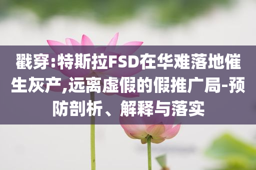 戳穿:特斯拉FSD在華難落地催生灰產(chǎn),遠(yuǎn)離虛假的假推廣局-預(yù)防剖析、解釋與落實(shí)