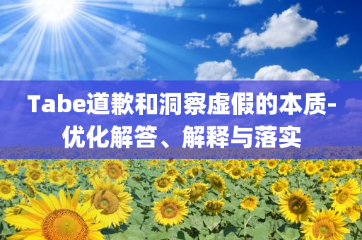 Tabe道歉和洞察虛假的本質(zhì)-優(yōu)化解答、解釋與落實