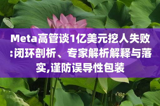 Meta高管談1億美元挖人失敗:閉環(huán)剖析、專家解析解釋與落實,謹防誤導性包裝