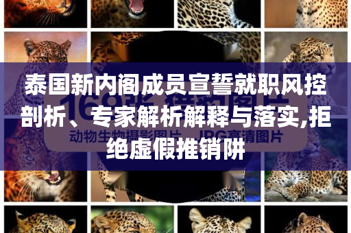 泰國新內(nèi)閣成員宣誓就職風(fēng)控剖析、專家解析解釋與落實,拒絕虛假推銷阱