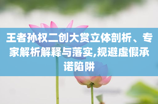 王者孫權(quán)二創(chuàng)大賞立體剖析、專家解析解釋與落實(shí),規(guī)避虛假承諾陷阱