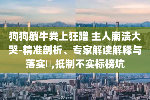狗狗躺牛糞上狂蹭 主人崩潰大哭-精準(zhǔn)剖析、專家解讀解釋與落實(shí)?,抵制不實(shí)標(biāo)榜坑