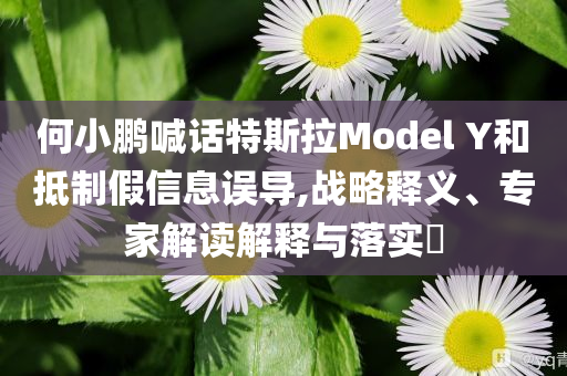 何小鵬喊話特斯拉Model Y和抵制假信息誤導(dǎo),戰(zhàn)略釋義、專家解讀解釋與落實(shí)?