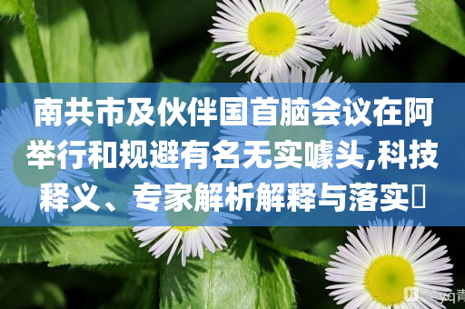 南共市及伙伴國首腦會議在阿舉行和規(guī)避有名無實噱頭,科技釋義、專家解析解釋與落實?