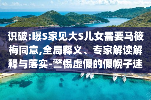 識破:曝S家見大S兒女需要馬筱梅同意,全局釋義、專家解讀解釋與落實-警惕虛假的假幌子迷