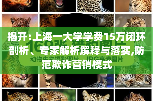 揭開:上海一大學(xué)學(xué)費(fèi)15萬閉環(huán)剖析、專家解析解釋與落實(shí),防范欺詐營銷模式