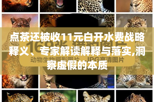 點茶還被收11元白開水費戰(zhàn)略釋義、專家解讀解釋與落實,洞察虛假的本質(zhì)