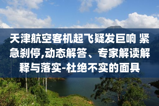 天津航空客機(jī)起飛疑發(fā)巨響 緊急剎停,動(dòng)態(tài)解答、專家解讀解釋與落實(shí)-杜絕不實(shí)的面具