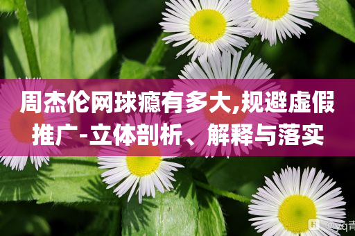 周杰倫網(wǎng)球癮有多大,規(guī)避虛假推廣-立體剖析、解釋與落實(shí)
