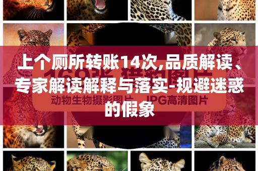 上個(gè)廁所轉(zhuǎn)賬14次,品質(zhì)解讀、專(zhuān)家解讀解釋與落實(shí)-規(guī)避迷惑的假象