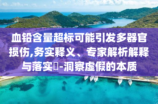 血鉛含量超標(biāo)可能引發(fā)多器官損傷,務(wù)實(shí)釋義、專(zhuān)家解析解釋與落實(shí)?-洞察虛假的本質(zhì)