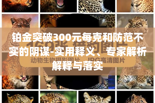 鉑金突破300元每克和防范不實(shí)的陰謀-實(shí)用釋義、專家解析解釋與落實(shí)