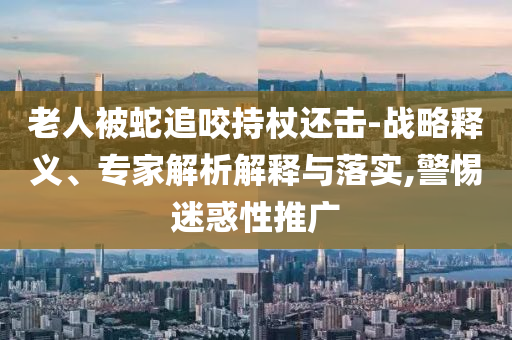 老人被蛇追咬持杖還擊-戰(zhàn)略釋義、專家解析解釋與落實,警惕迷惑性推廣