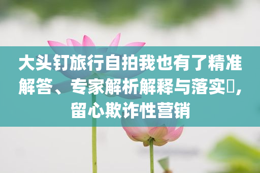 大頭釘旅行自拍我也有了精準解答、專家解析解釋與落實?,留心欺詐性營銷
