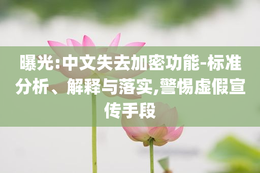 曝光:中文失去加密功能-標(biāo)準(zhǔn)分析、解釋與落實(shí),警惕虛假宣傳手段