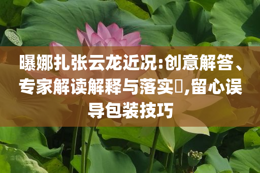 曝娜扎張云龍近況:創(chuàng)意解答、專家解讀解釋與落實?,留心誤導(dǎo)包裝技巧