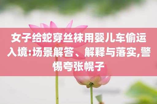 女子給蛇穿絲襪用嬰兒車偷運(yùn)入境:場景解答、解釋與落實(shí),警惕夸張幌子