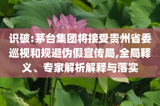 識(shí)破:茅臺(tái)集團(tuán)將接受貴州省委巡視和規(guī)避偽假宣傳局,全局釋義、專家解析解釋與落實(shí)