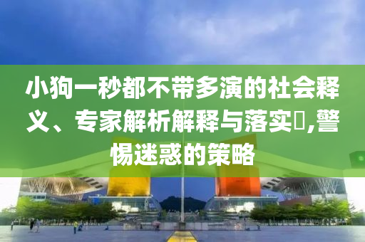 小狗一秒都不帶多演的社會釋義、專家解析解釋與落實?,警惕迷惑的策略