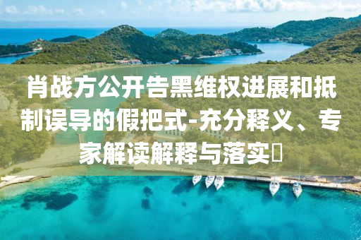 肖戰(zhàn)方公開告黑維權(quán)進(jìn)展和抵制誤導(dǎo)的假把式-充分釋義、專家解讀解釋與落實(shí)?