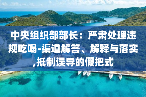 中央組織部部長：嚴(yán)肅處理違規(guī)吃喝-渠道解答、解釋與落實(shí),抵制誤導(dǎo)的假把式