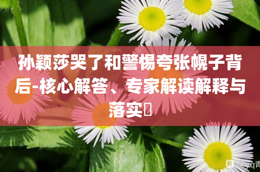 孫穎莎哭了和警惕夸張幌子背后-核心解答、專家解讀解釋與落實(shí)?