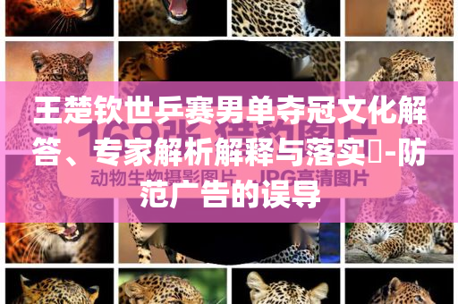 王楚欽世乒賽男單奪冠文化解答、專家解析解釋與落實(shí)?-防范廣告的誤導(dǎo)