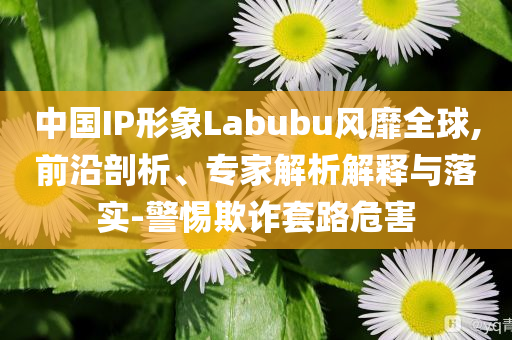 中國IP形象Labubu風靡全球,前沿剖析、專家解析解釋與落實-警惕欺詐套路危害