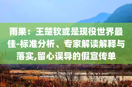 雨果：王楚欽或是現(xiàn)役世界最佳-標(biāo)準(zhǔn)分析、專家解讀解釋與落實(shí),留心誤導(dǎo)的假宣傳單