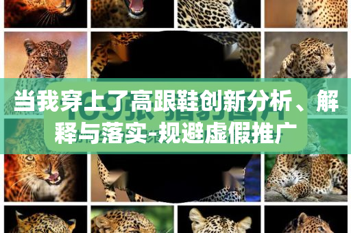 當(dāng)我穿上了高跟鞋創(chuàng)新分析、解釋與落實-規(guī)避虛假推廣