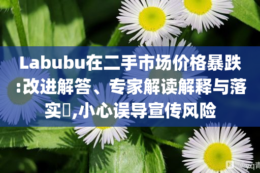 Labubu在二手市場價格暴跌:改進解答、專家解讀解釋與落實?,小心誤導宣傳風險