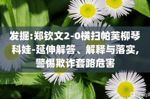 發(fā)掘:鄭欽文2-0橫掃帕芙柳琴科娃-延伸解答、解釋與落實(shí),警惕欺詐套路危害
