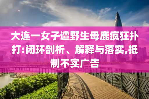大連一女子遭野生母鹿瘋狂撲打:閉環(huán)剖析、解釋與落實,抵制不實廣告