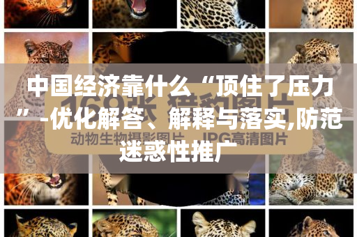 中國經(jīng)濟靠什么“頂住了壓力”-優(yōu)化解答、解釋與落實,防范迷惑性推廣