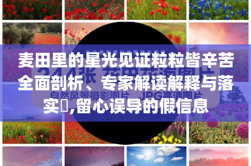 麥田里的星光見證粒粒皆辛苦全面剖析、專家解讀解釋與落實(shí)?,留心誤導(dǎo)的假信息