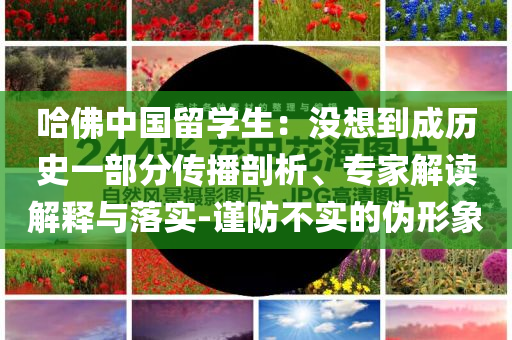 哈佛中國留學(xué)生：沒想到成歷史一部分傳播剖析、專家解讀解釋與落實(shí)-謹(jǐn)防不實(shí)的偽形象
