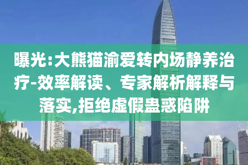 曝光:大熊貓渝愛(ài)轉(zhuǎn)內(nèi)場(chǎng)靜養(yǎng)治療-效率解讀、專家解析解釋與落實(shí),拒絕虛假蠱惑陷阱