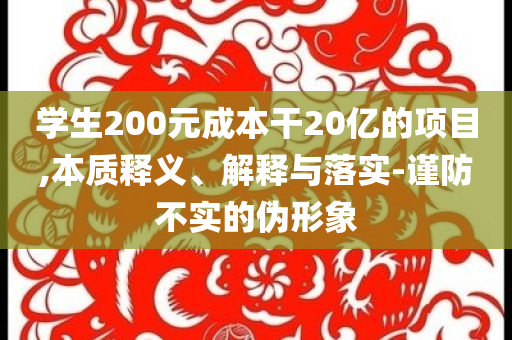 學生200元成本干20億的項目,本質釋義、解釋與落實-謹防不實的偽形象
