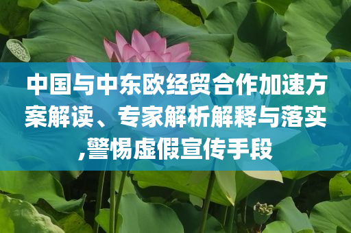 中國與中東歐經(jīng)貿(mào)合作加速方案解讀、專家解析解釋與落實(shí),警惕虛假宣傳手段
