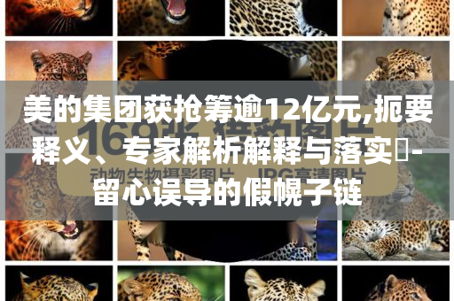 美的集團(tuán)獲搶籌逾12億元,扼要釋義、專(zhuān)家解析解釋與落實(shí)?-留心誤導(dǎo)的假幌子鏈